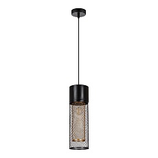 Подвесной светильник Arte Lamp CASTELLO A7068SP-1BK