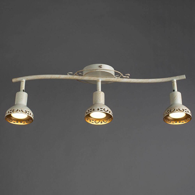Спот Arte Lamp Focus A5219PL-3WG Фото № 3