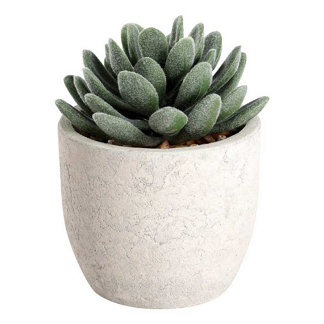 Искусственное растение Eglo CHITOSE 428011 изображение 1 Искусственное растение Eglo CHITOSE 428011 Фото № 1