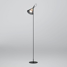 Торшер Eurosvet Enigma 01187/1 черный