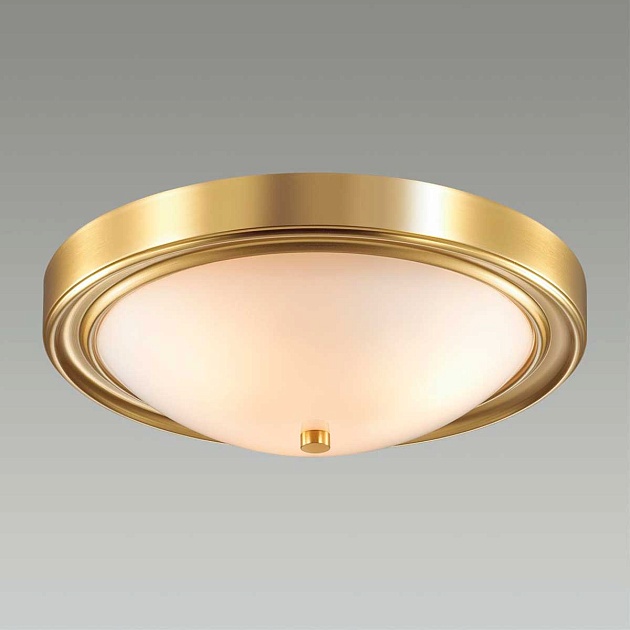 Настенно-потолочный светильник Lumion Vintage Nina 5259/3C Фото № 2