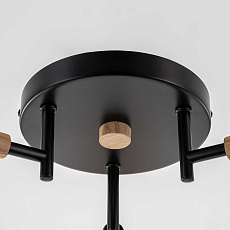 Потолочная люстра Citilux Tika CL133131 2