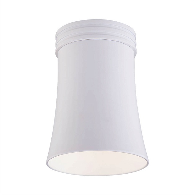 Потолочный светильник Elektrostandard DLN100 GU10 WH белый a043164 Фото № 1