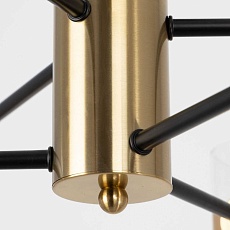 Потолочная люстра Citilux Бертон CL140161 2