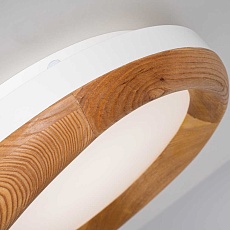 Потолочный светодиодный светильник Imperium Loft Runis 140974-26 1