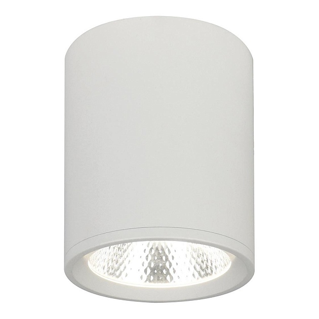 Потолочный светодиодный светильник Escada 20003SMU/02LED SWH изображение 1 Потолочный светодиодный светильник Escada 20003SMU/02LED SWH Фото № 1