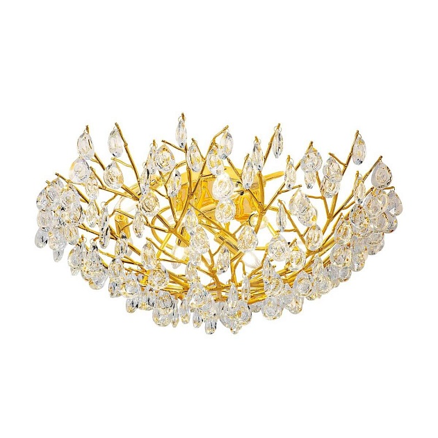 Потолочная люстра Favourite Pluvia 4162-10C Фото № 5