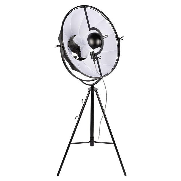 Торшер Loft IT Studio 10301/M изображение 1 Торшер Loft IT Studio 10301/M Фото № 1