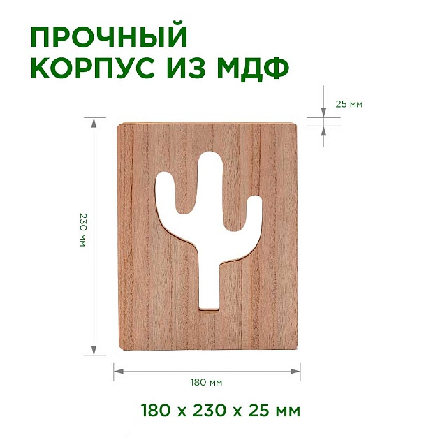 Светильник-ночник Apeyron Кактус 12-186 Фото № 2