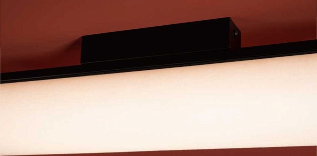 Потолочный светильник Freya Modern Even FR5625CL-L20B Фото № 14