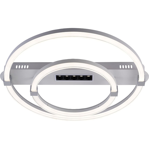 Потолочный светодиодный светильник Escada Aspect 10253/2LED Фото № 1