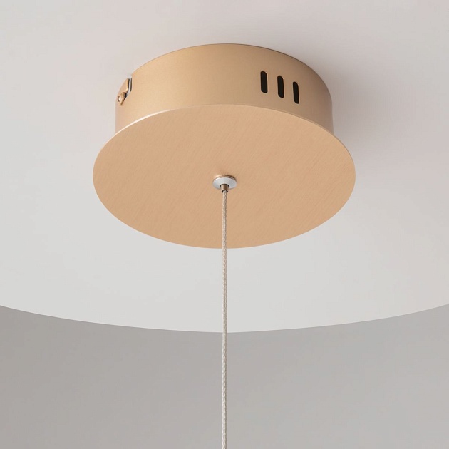 Подвесной светодиодный светильник Maytoni Chain MOD017PL-L13G Фото № 4