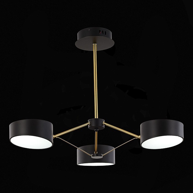 Потолочная светодиодная люстра Evoluce Valle SLE6005-402-03 изображение 4 Потолочная светодиодная люстра Evoluce Valle SLE6005-402-03 Фото № 4