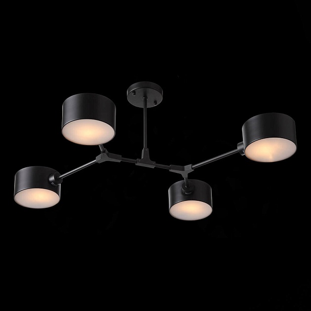 Потолочная люстра Evoluce Gimento SLE183402-04 изображение 3 Потолочная люстра Evoluce Gimento SLE183402-04 Фото № 3