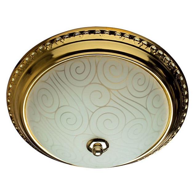 Потолочный светильник Arte Lamp 28 A3013PL-2GO Фото № 1