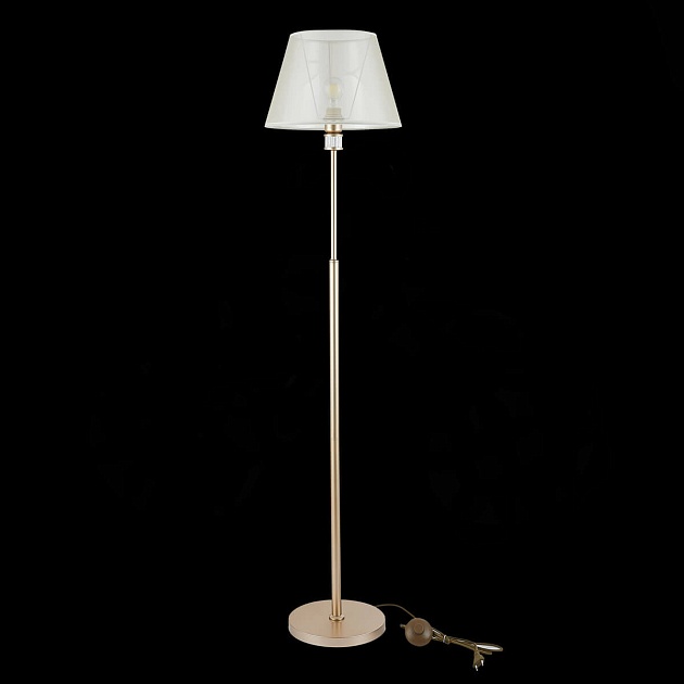 Торшер Evoluce Manila SLE107505-01 Фото № 3