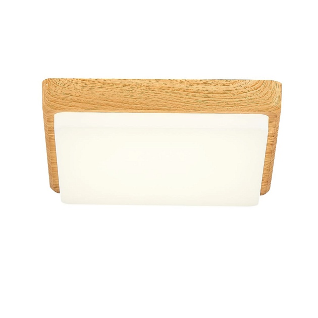 Потолочный светодиодный светильник Evoluce Taddio SLE200202-01 Фото № 2