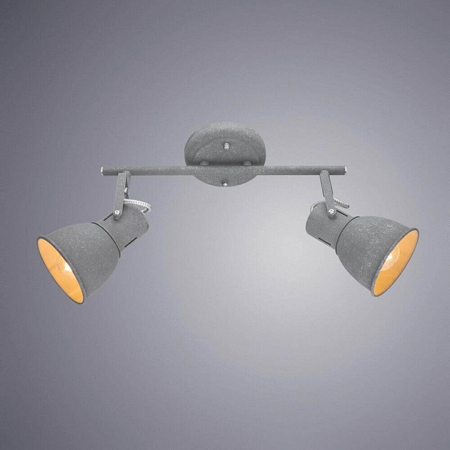 Спот Arte Lamp A1677PL-2GY Фото № 2