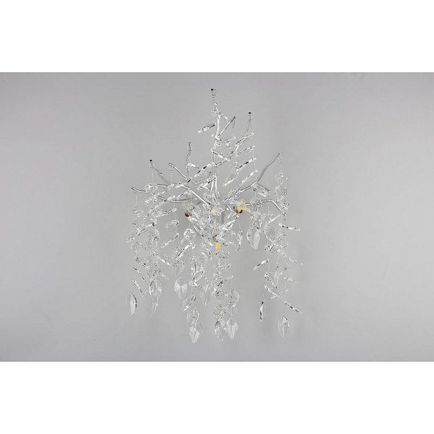 Настенный светильник Aployt Gertunia APL.847.11.03 Фото № 8