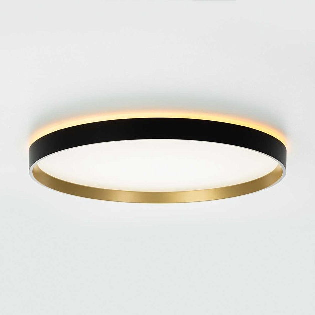 Потолочный светильник Citilux ETALON CL750401R Фото № 10