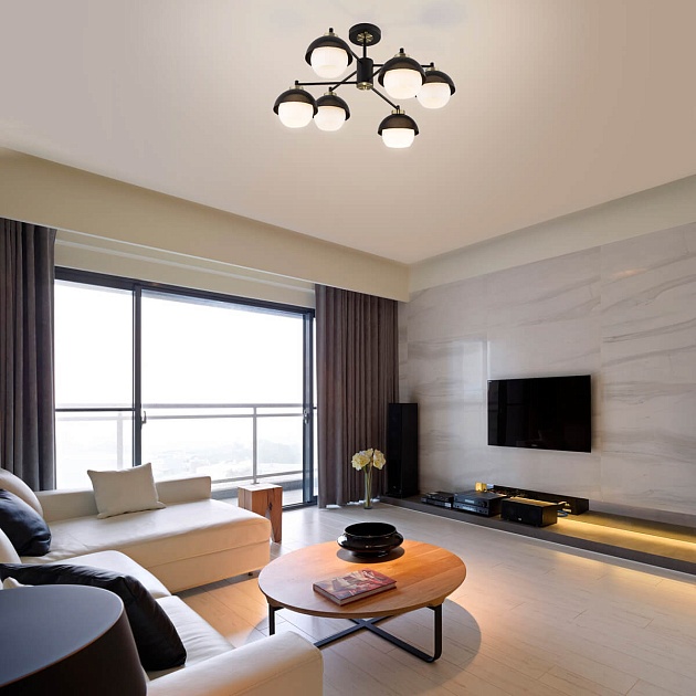 Потолочная люстра Eurosvet 70106/6 черный изображение 5 Потолочная люстра Eurosvet 70106/6 черный Фото № 5