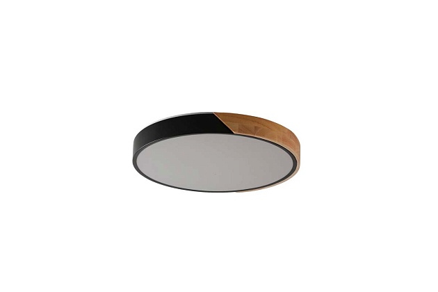 Потолочный светильник Zortes ALBERRO ZRS.01237.90 изображение 2 Потолочный светильник Zortes ALBERRO ZRS.01237.90 Фото № 2