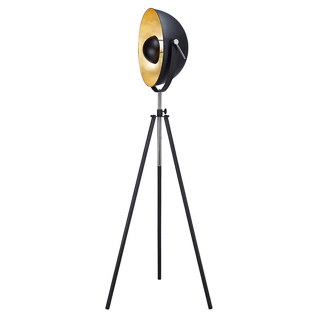Торшер Lussole Loft Bollo LSP-9824 Фото № 1