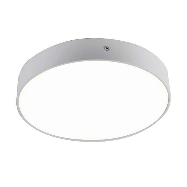 Потолочный светодиодный светильник Favourite Flashled 2065-30C Фото № 1