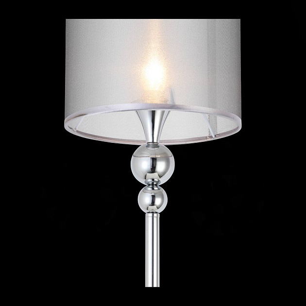 Торшер Evoluce Pazione SLE107105-01 Фото № 2