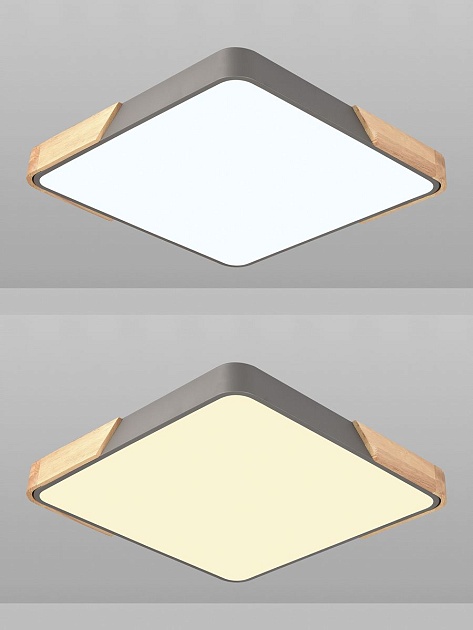 Потолочный светодиодный светильник Natali Kovaltseva LED LAMPS 81413 изображение 5 Потолочный светодиодный светильник Natali Kovaltseva LED LAMPS 81413 Фото № 5