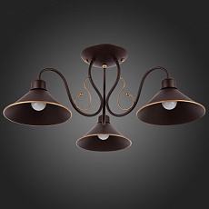 Потолочная люстра Evoluce Ciolla SLE120402-03 3