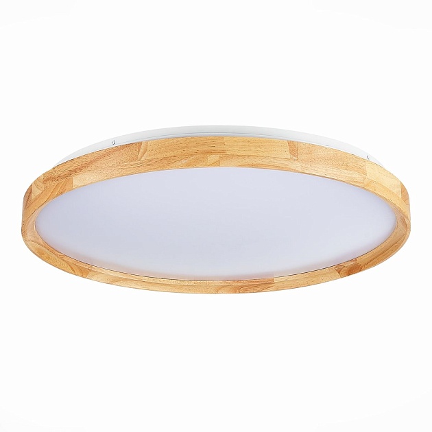 Потолочный сетодиодный светильник Evoluce Delia SLE201382-01 изображение 1 Потолочный сетодиодный светильник Evoluce Delia SLE201382-01 Фото № 1