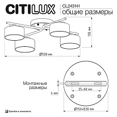 Потолочная люстра Citilux Espace CL243141 3