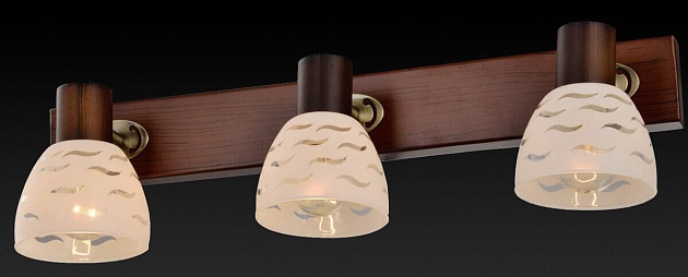 Спот Toplight Shayla TL3730Y-03BB Фото № 2