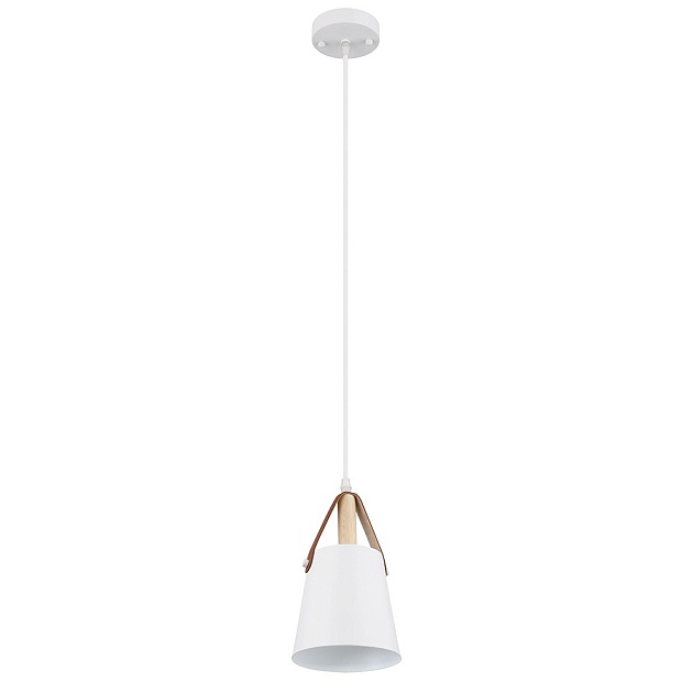 Подвесной светильник Arte Lamp THOMAS A7032SP-1WH Фото № 1