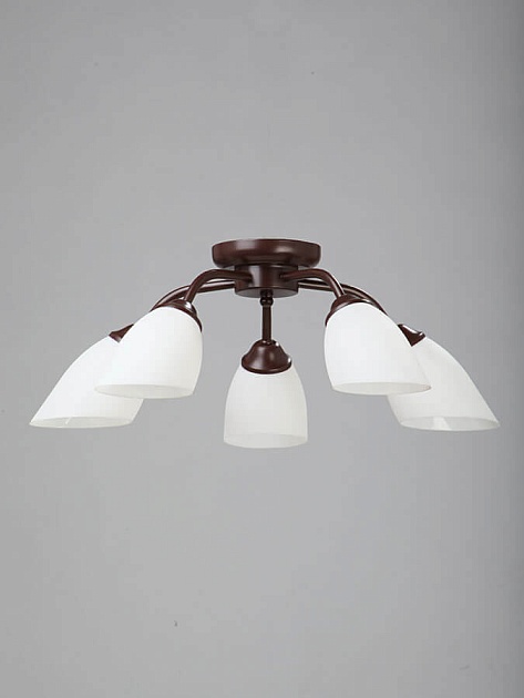 Потолочная люстра Vitaluce V3252/5PL изображение 3 Потолочная люстра Vitaluce V3252/5PL Фото № 3