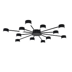 Люстра Lumion COMFI 8344/12C 5