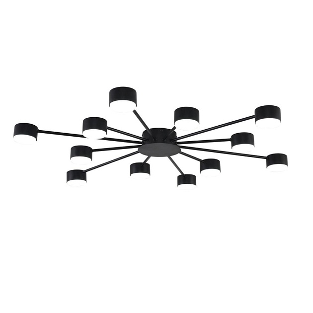 Люстра Lumion COMFI 8344/12C Фото № 6