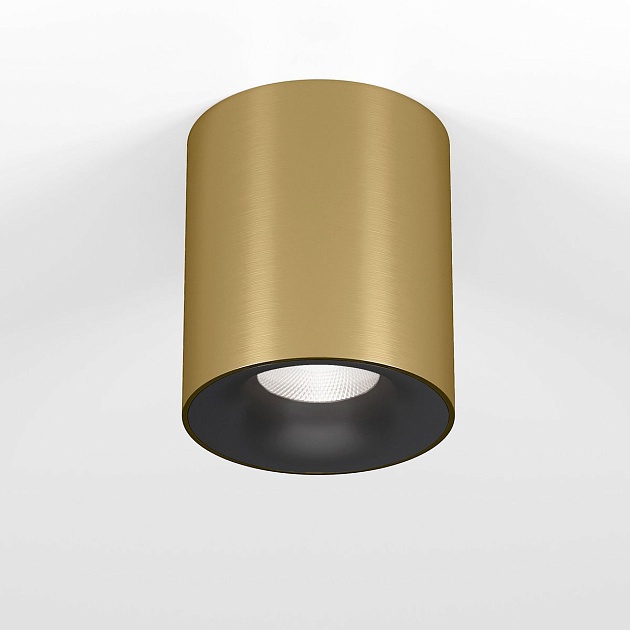 Потолочный светодиодный светильник Elektrostandard Primo 25116/LED a069414 Фото № 1