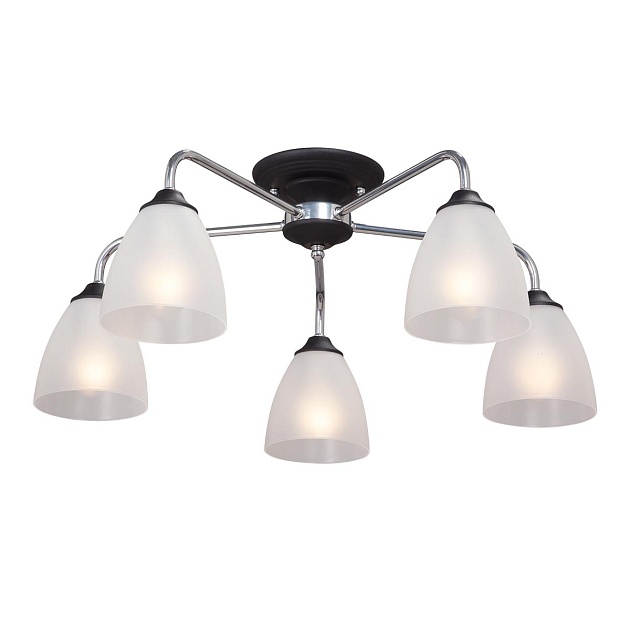 Потолочная люстра Vitaluce V3946-1/5PL Фото № 1