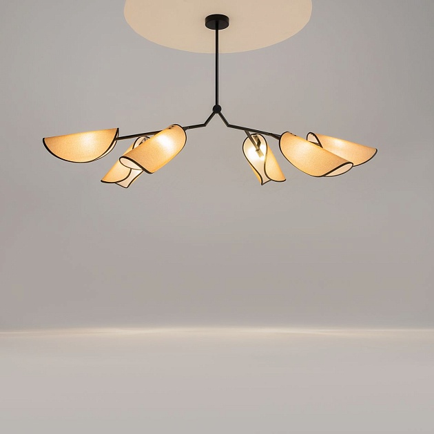 Подвесная люстра Maytoni Organic MOD225PL-06B Фото № 5