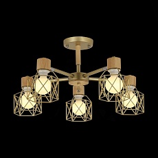 Потолочная люстра Evoluce Stelitto SLE110402-05 1