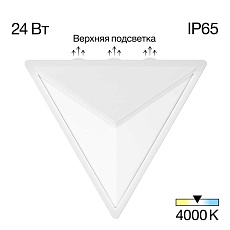 Уличный настенный светодиодный светильник Citilux Domus CLU0804WH