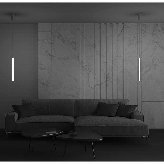 Подвесной светильник Maytoni Ray P022PL-L10W Фото № 6