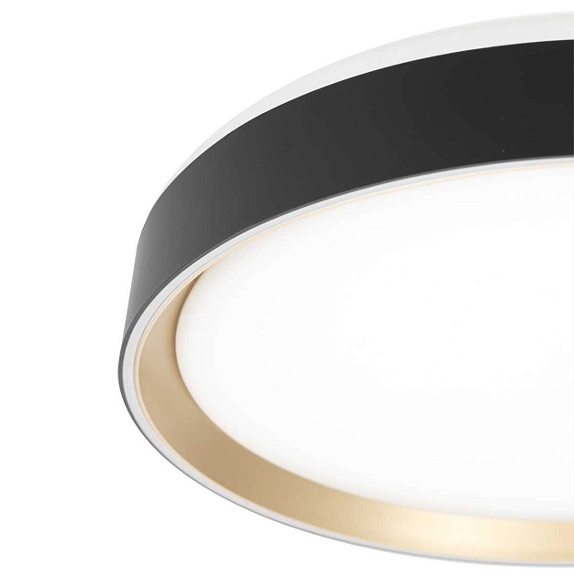 Потолочный светодиодный светильник Citilux Boss CL751351G Фото № 5