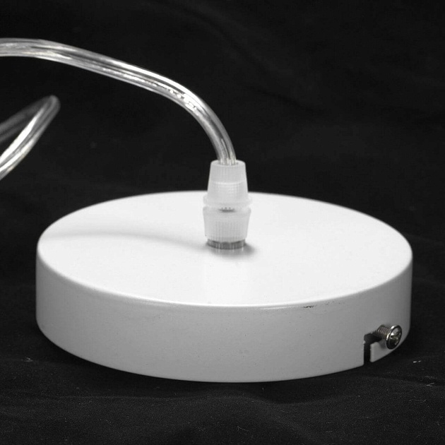 Подвесная люстра Lussole Lgo Kenner LSP-8270 Фото № 4