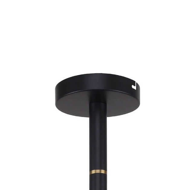 Подвесная люстра Favourite Eternity 2766-12P Фото № 3