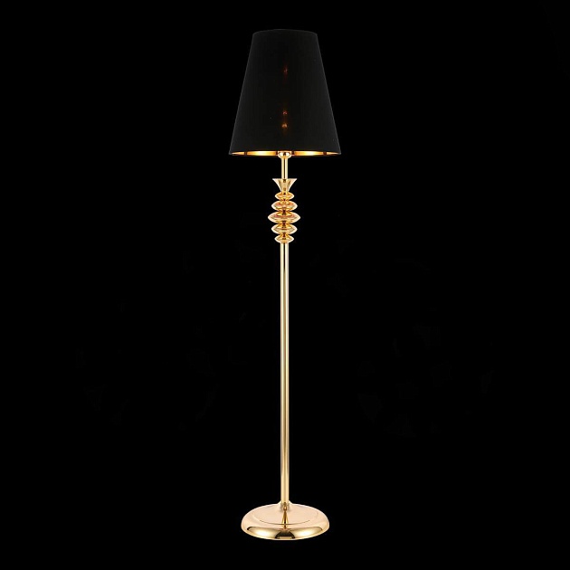 Торшер Evoluce Rionfo SL1137.205.01 изображение 3 Торшер Evoluce Rionfo SL1137.205.01 Фото № 3