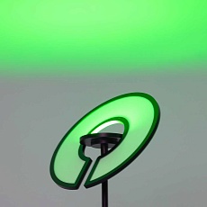 Торшер Citilux Loong CL810031 2