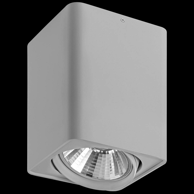 Потолочный светильник Lightstar Monocco 212639 Фото № 3